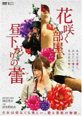 纪录电影海面以下海报